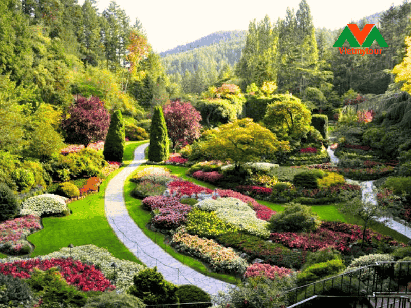 vuon-hoa-butchart