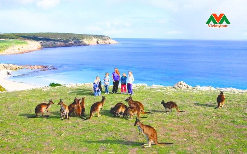 top-dia-diem-du-lich-uc-noi-tieng-nhat-dinh-phai-biet