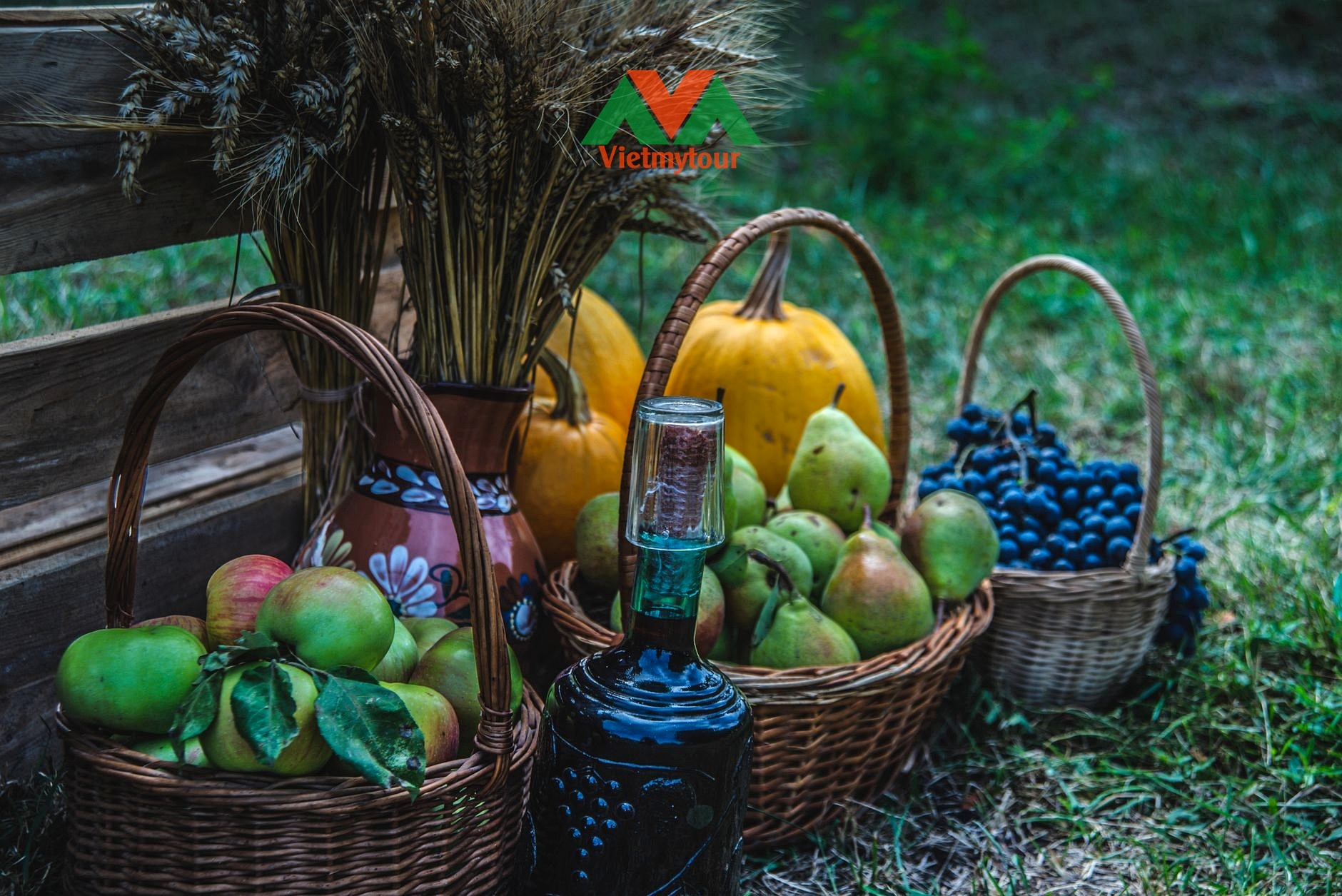 Điền trang trồng nho sản xuất rượu vang sủi Rathfinny Wine Estate Sussex