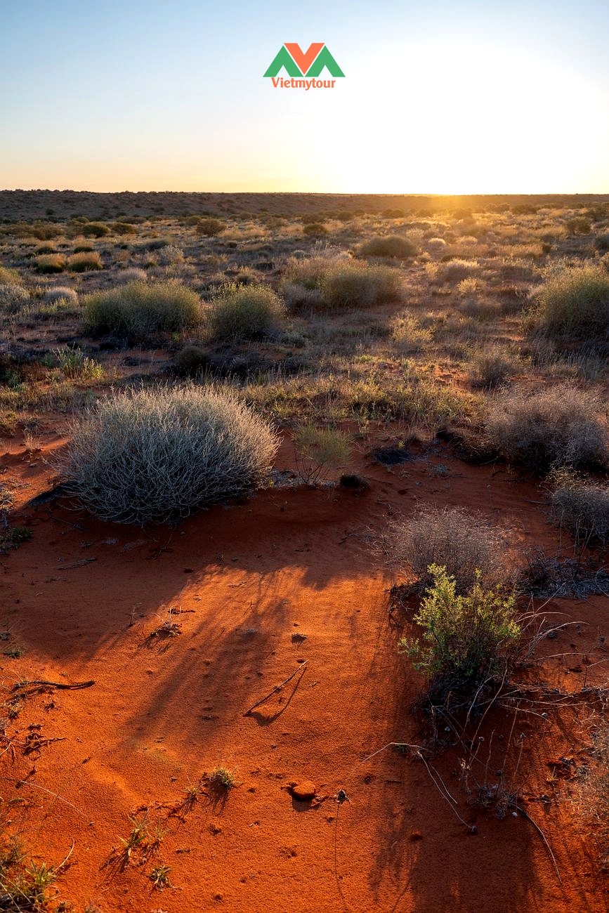 Thiên nhiên hoang sơ sa mạc Outback Red Centre Australia